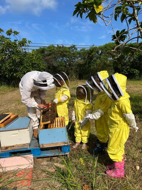 Bee Farm Tour & Honey Tasting - Booking Information