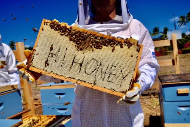Bee Farm Tour & Honey Tasting - Experience Highlights