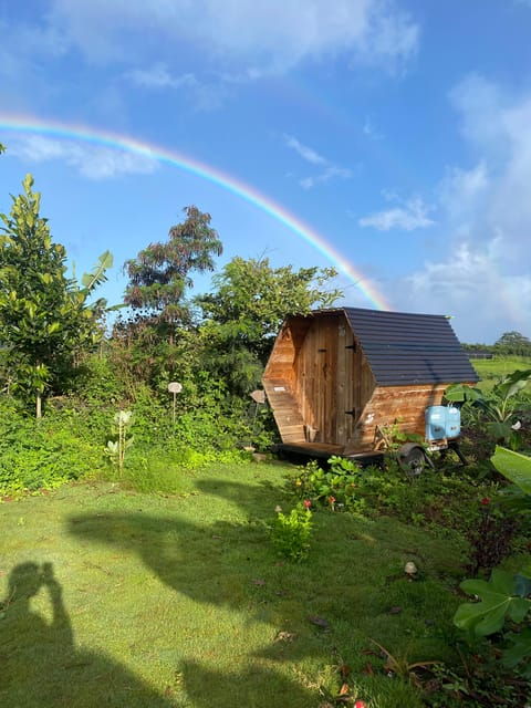 Bee Farm Tour & Honey Tasting - What to Expect