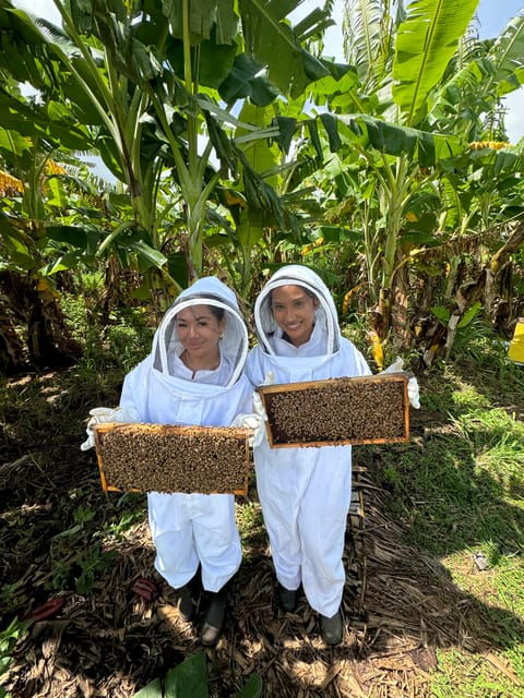 Bee Farm Tour & Honey Tasting - About the Bee Farm