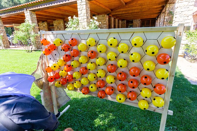 Beekeeper Experience in the Mountain of Holomontas - Meeting and Pickup Details