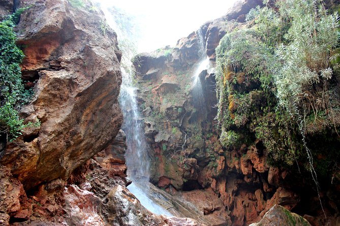 Beekeeping and Mountain Tour in Imouzzer - Pricing Details and Guarantees