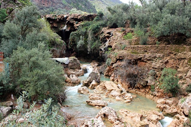 Beekeeping and Mountain Tour in Imouzzer - Weather Dependency and Accessibility