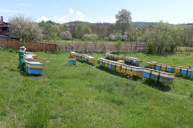 Beekeeping Day Trip| Private Guided Tour From Bucharest - Tour Highlights