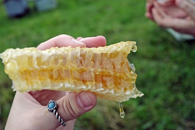 Beekeeping Day Trip| Private Guided Tour From Bucharest - Inclusions and Exclusions