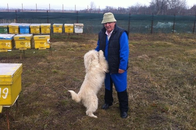 Beekeeping Day Trip| Private Guided Tour From Bucharest - Customer Reviews and Ratings
