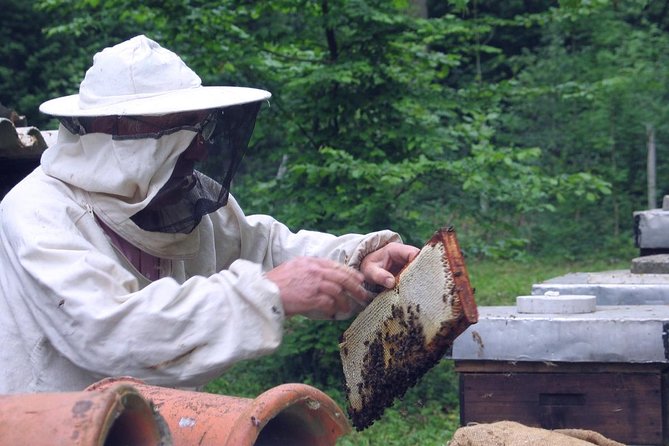 Beekeeping Day Trip| Private Guided Tour From Bucharest - The Sum Up
