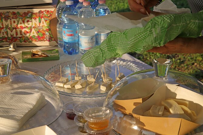 Beekeeping Farm Tour and Tasting Experience in Lazise - Pricing and Booking Details