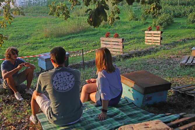 Beekeeping Farm Tour and Tasting Experience in Lazise - Recommendations and Additional Information