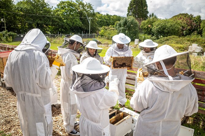 Beekeeping. Honey and Hive. - Honey Production Process