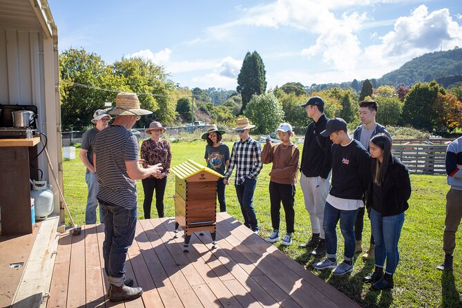 Beekeeping. Honey and Hive. - Exploring the Hive: A Behind-the-Scenes Look