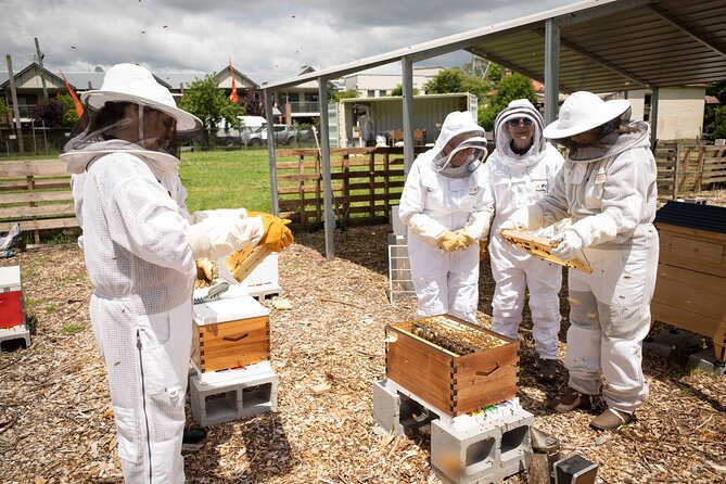 Beekeeping. Honey and Hive. - The Sum Up