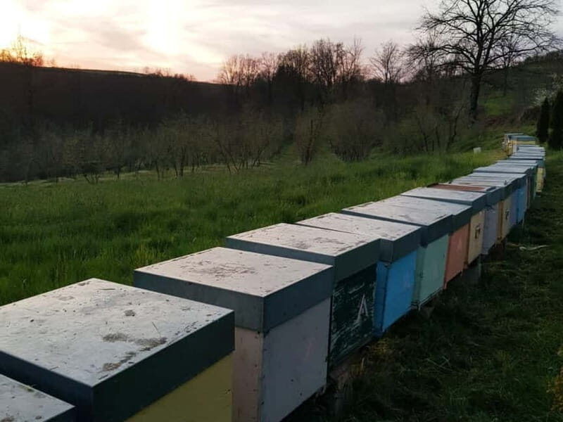 Beekeeping Tour and Honey Tasting Experience in Monferrato - Exploring the Beekeeping Experience in Monferrato