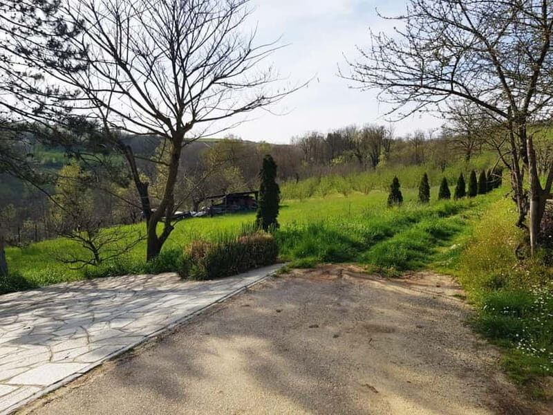 Beekeeping Tour and Honey Tasting Experience in Monferrato - Who Will Enjoy This Experience?