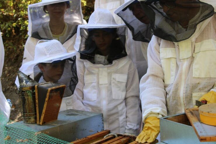 Beekeeping Tour in Amarante With Honey Tasting - Experience