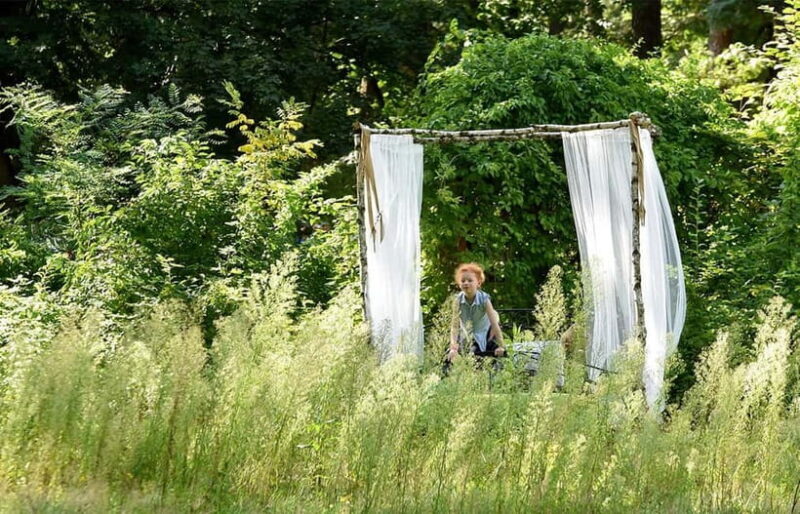 Beelitz-Heilstätten: Baum&Zeit Tree Top Walk Entry Ticket - An In-Depth Look at the Experience