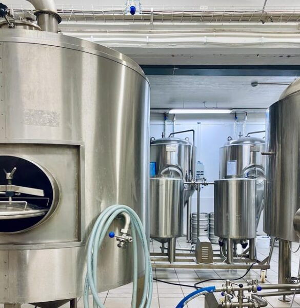 Beer & Brewery Tour at Gaedingur Brewery - Restrictions and Limitations
