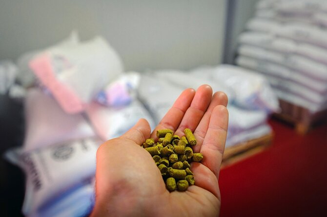 Beer Tour With Tastings in the Craft Brewery - Frequently Asked Questions