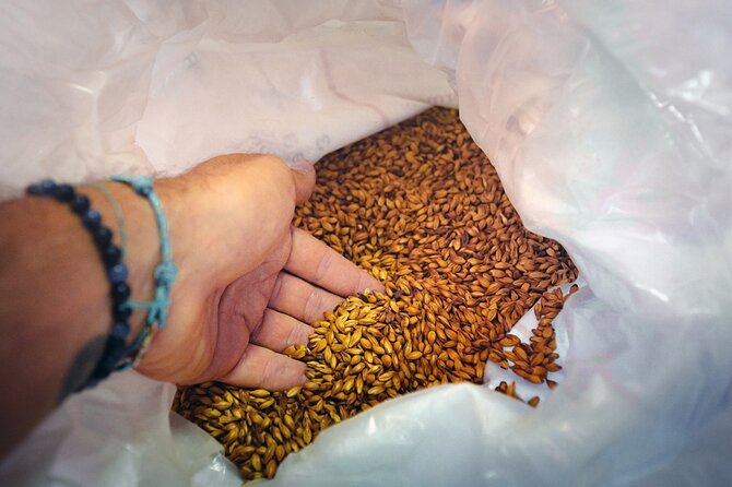 Beer Tour With Tastings in the Craft Brewery - The Sum Up
