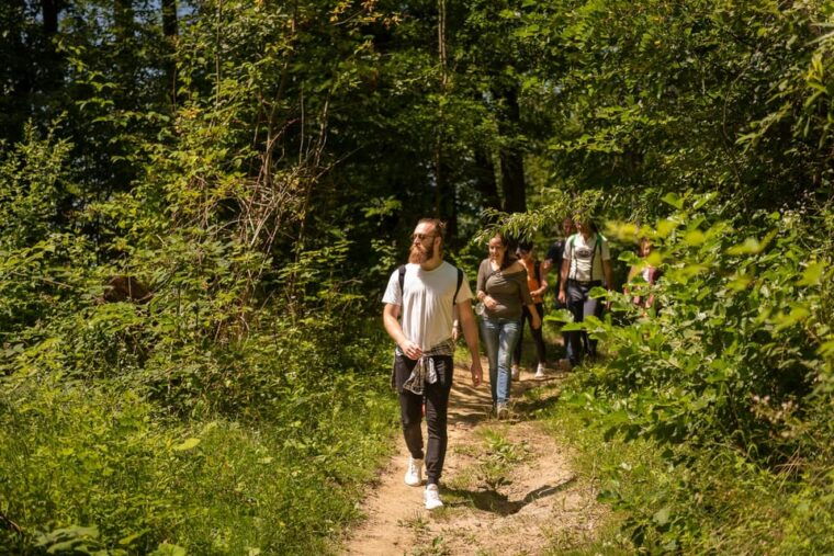 BEER WAY Kamnik: Alpine Outdoors & Beer Tasting Tour - Dining and tasting experience