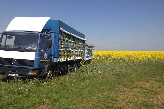 Bees Adventure in Romania - Private Day Trip From Bucharest - Tour Overview