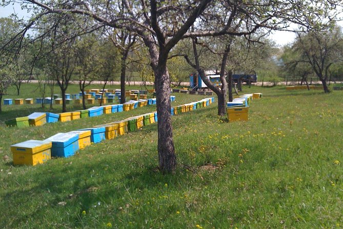 Bees Adventure in Romania - Private Day Trip From Bucharest - Inclusions
