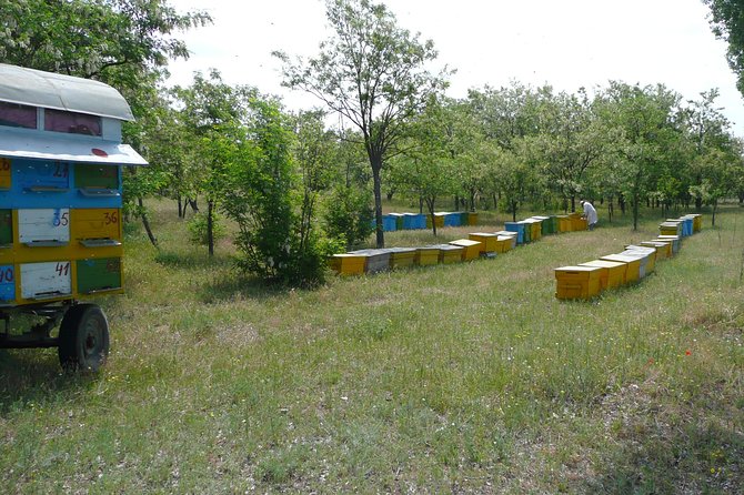 Bees Adventure in Romania - Private Day Trip From Bucharest - Frequently Asked Questions