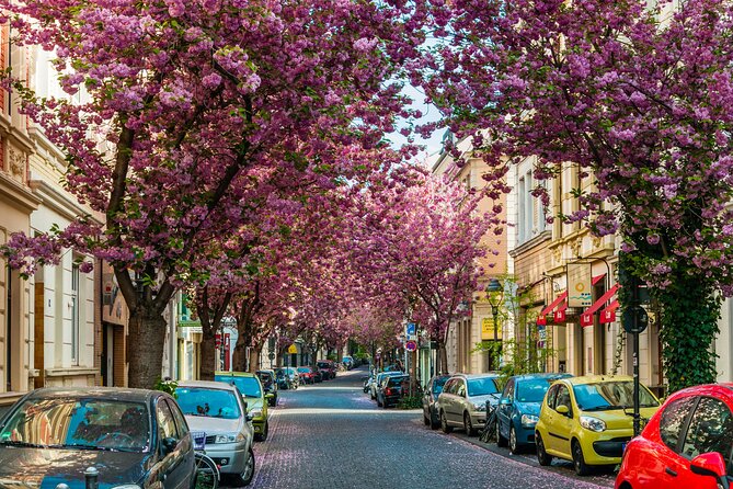 Beethoven and Bonn Highlights Tour From Cologne by Car - The Sum Up