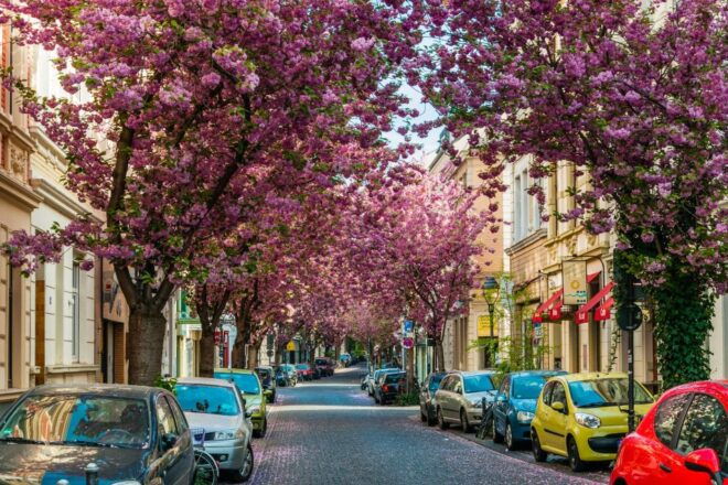 Beethoven and Bonn Highlights Tour From Cologne by Car - Tips for a Successful Tour