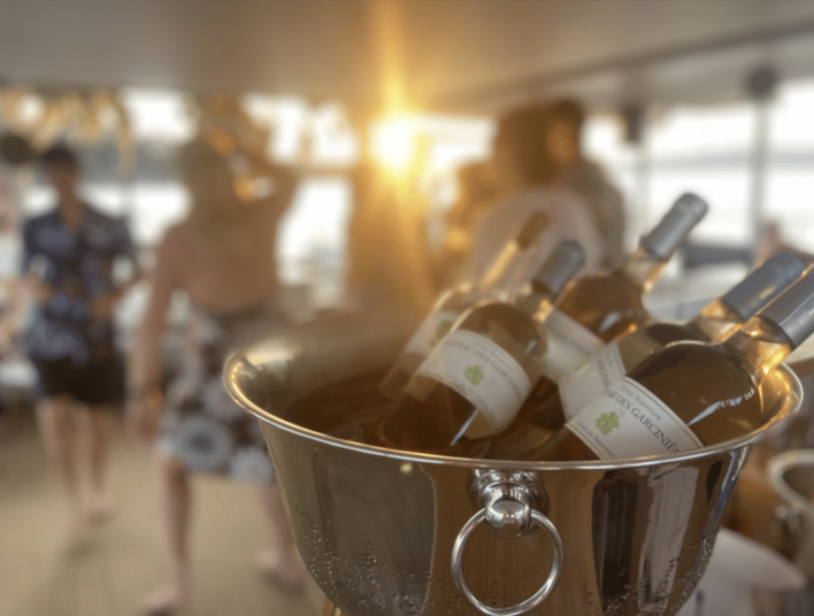 Before Boat Party in the Gulf of Morbihan - Key Points