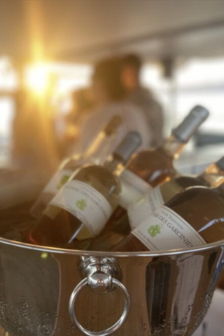 Before Boat Party in the Gulf of Morbihan - Experience Highlights