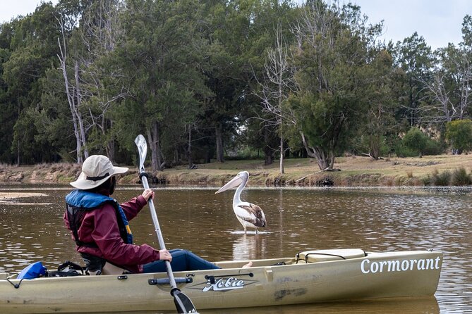 Bega River Kayaking Tour - Reviews and Ratings