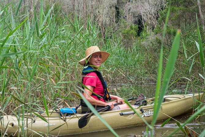 Bega River Kayaking Tour - Pricing and Contact Information