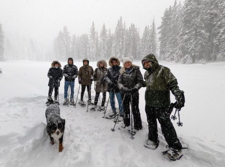 Beginner and Family Snowshoe Tour - Good To Know