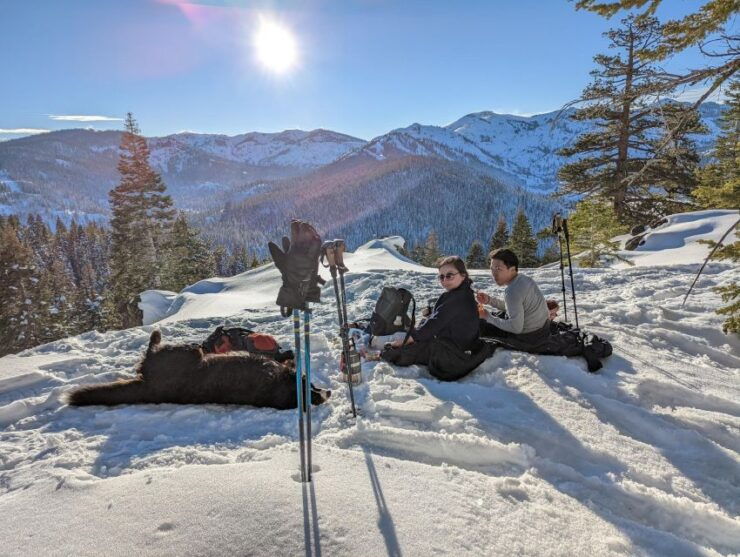 Beginner and Family Snowshoe Tour - Tour Description