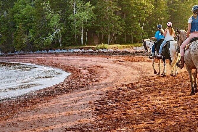 Beginner Brudenell Beach Trail Ride - Why This Experience Offers Great Value