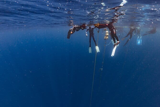 Beginner Freediving Course (with Bonus Session) - FAQ