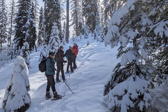 Beginner/Intermediate Snowshoeing in the Bitterroot Mountains - Good To Know