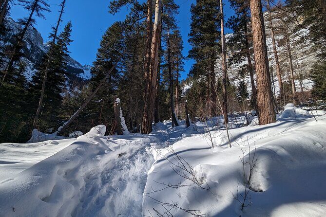 Beginner/Intermediate Snowshoeing in the Bitterroot Mountains - FAQ