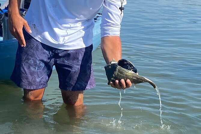 Beginner One Hour Guided Kayaking and SUP Activity - Final Thoughts