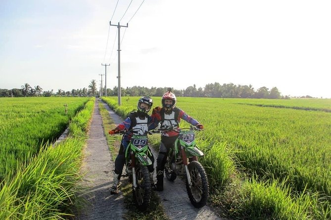 BEGINNER RIDE - Learn to RIDE and Enjoy the Sandy Beach - Booking and Availability