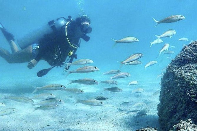 Beginner Scuba Diving Adventure W/ Videos in Honolulu - Exploring the Tropical Waters