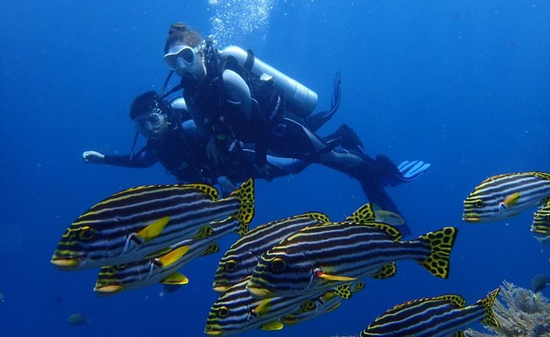 Beginner Scuba Diving Experience in Bali - What you may see, and what not to expect