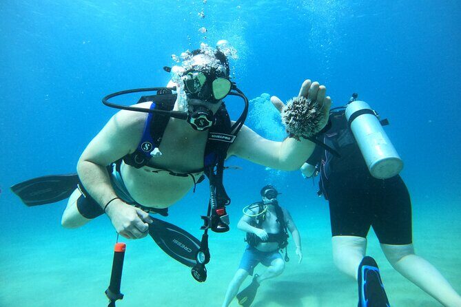 Beginner Scuba Diving Guided Tour - No Experience Required - An In-Depth Look at the Rincón Beginner Scuba Tour