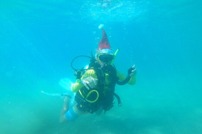 Beginner Scuba Diving Guided Tour - No Experience Required - Who Should Consider This Tour?