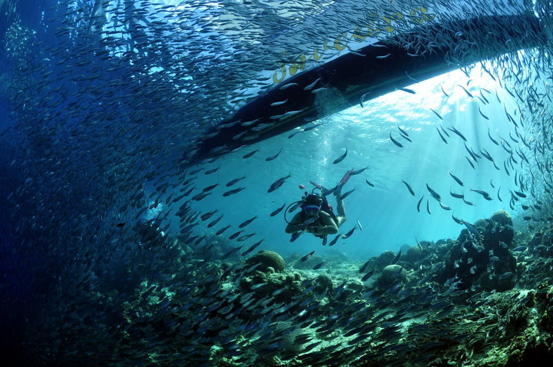 Beginner Scuba Diving in Moalboal with PADI - Timing, location and a few ways to avoid a bad start