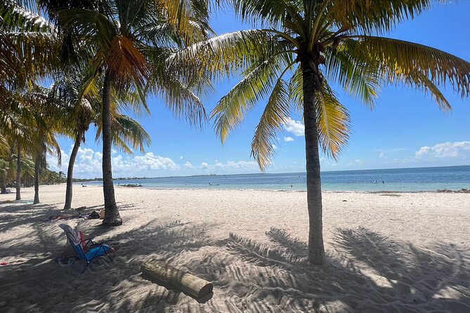 Beginner Snorkel Tour With Videos in Miami - Tour Details and Requirements