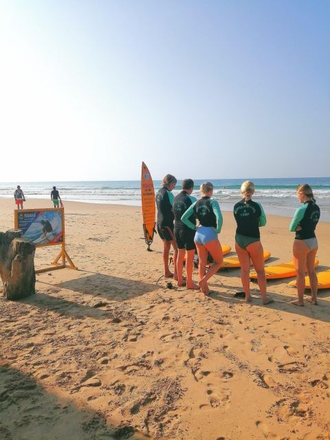 Beginner Surfing Lesson and Surfguide - Activity Details