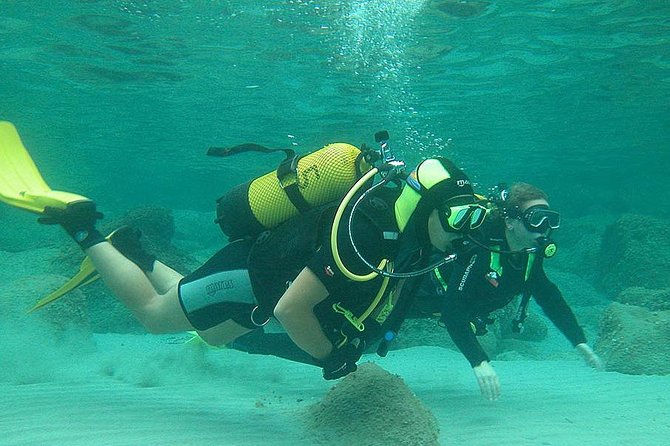 Beginners Diving in Santa Ponsa - Meeting and Pickup Information