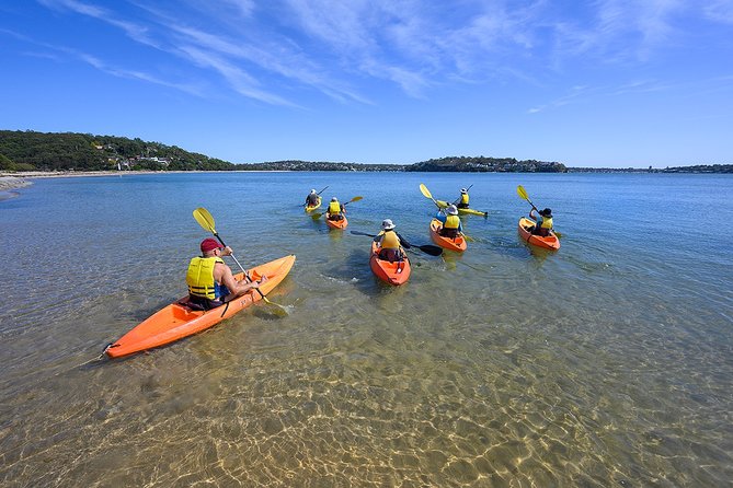 Beginners Kayak Tour in Sydney - Gorgeous Aussie Beaches and Bays - Common Questions
